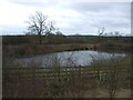 Pond beside the A47