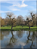 TL4457 : Newnham: reflected in the mill pond by John Sutton