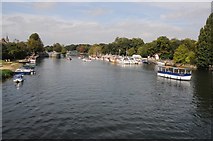TQ1568 : The River Thames at Hampton by Philip Halling