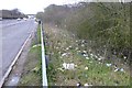 SU4669 : Litter beside the A34 by David Lally