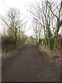 Public footpath, Palmersville