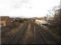 NZ2970 : Railway lines, Palmersville by Graham Robson