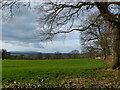 Countryside view near Upper Arley