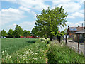 TL7222 : Path from Duckend Green to Capel Road by Robin Webster