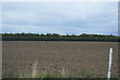 Ploughed field