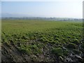 Farmland on the west side of the Eden valley