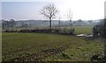 Farmland north of Birk Rein