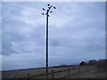 Electricity pole in Higham Gobion