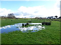 Wetland, Mullaghmenagh Upper