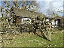 SO8742 : Aftermath of storm Doris #2 by Philip Halling