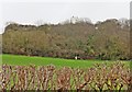 Looking up towards the windmill on Walton Hill