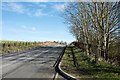 Minor road north-east of Pittington Bridge