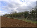 Footpath ladder exit from field