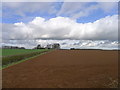 Looking across fields to Wealdmore Lodge Farm