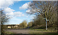 Meeting of bridleways near Low Moorsley