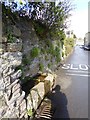 Stone drinking trough, Church Street, Ermington