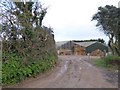 Barns at Rose Farm