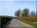 Road from Wylye towards Bapton and Stockton