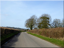 ST9937 : Road from Wylye towards Bapton and Stockton by Robin Webster