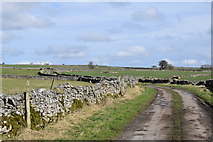 SK1369 : Country lane from Flagg. by steven ruffles