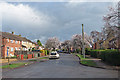 Gunhild Way: blossom and rainclouds