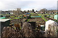 Allotments at Ashton Vale