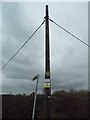 Telephone pole on Church Road, Noak Hill