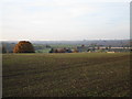 Overlooking Astwell Castle