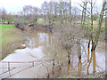 Flooded corner of field near Giant