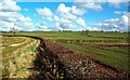 Laigh Langside Farmland