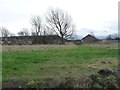 Western end, derelict site, south of Green Lane