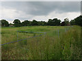 TF9330 : Fenced off field, Fakenham by Hugh Venables