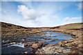 NY7731 : River Tees upstream by Trevor Littlewood