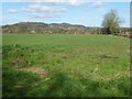 Farmland at Martley