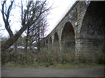 SP3065 : Viaduct across the Leam, Leamington Spa by Richard Vince