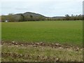 View to Woodbury Hill