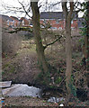 Lubbesthorpe Brook in Braunstone