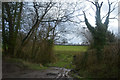 SS8114 : North Devon : Grassy Field & Gate by Lewis Clarke