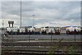 Freightliner Terminal