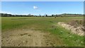 Field beside Admington Lane Farm