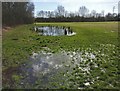 Water logged Aylestone Playing Fields