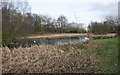 Wildlife pond, Springburn Park