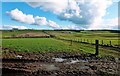 NS3930 : Helenton Farmland by Mary and Angus Hogg