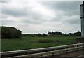 Crash barrier alongside the M1 west of Junction 9 (Lurgan)