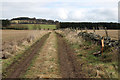NT6239 : A field track at Darlingfield by Walter Baxter
