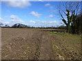 The path from Poulton Road to Dibbinsdale