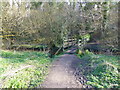 Footbridge in Dibbinsdale