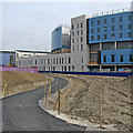 The new Papworth Hospital and a reworked path