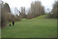 Greenspace between Avon Road and Callieburn Road