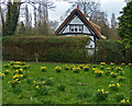 Oram Cottage in Knighton